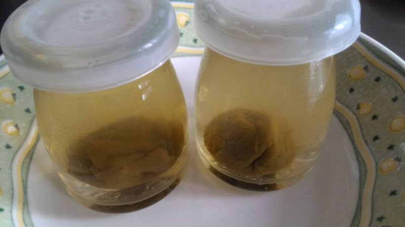 Q梅茶凍
