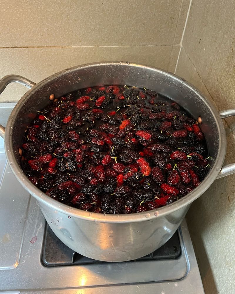 桑葚汁