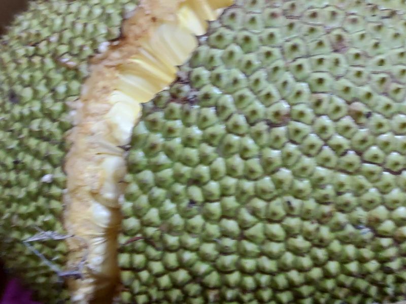 波羅密全處理