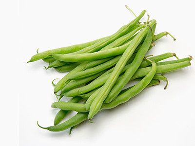 四季豆