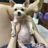 Natalie's 小廚大作