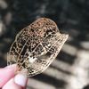 林玉琳
