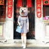 CaMeow筷子料理
