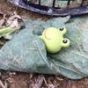 🐸青蛙蓋被被農場🐸