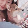 翎