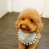 可以不要洗鍋子嗎