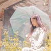 王虹穎