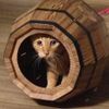 Tora 