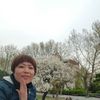 楊艾薇
