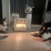 蛋蛋媽懶人食譜