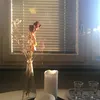 Alicia's 廚房隨筆