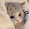 咻咻咻咻嘎