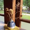 林小宥