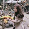 張小慧