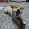 簡單做