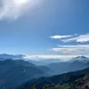 零廚藝小花媽