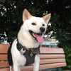 依恩的家常料理