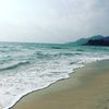 gracechou
