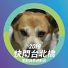 蕭文安