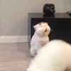 手做小教室