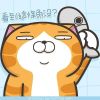 黃雅歆