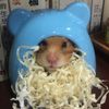 小倉鼠🐹