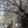 韓媳廚房