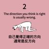 兔子