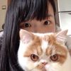 Ki醬廚房
