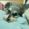 小資生活1234
