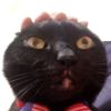 雅