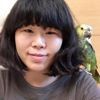 陳郁旻
