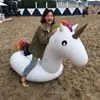 鳥初學者廚房