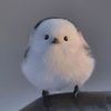 (๑•﹏•)