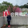張芳綺