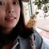 周婉容