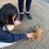 呂思穎