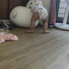 陳鈴霖