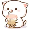 姵岑
