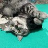 黄壬杰