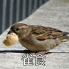 小廚師