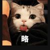 兔唧派