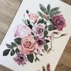 Carina
