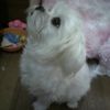 Wanda