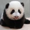 俏媽咪