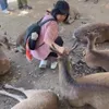 蘇玉雯