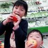 櫻桃丸