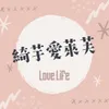 安綺小姐