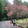 小廢霞