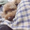 debby小廚房